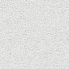 65438-17 R