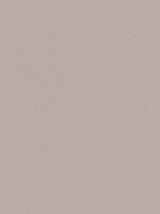 A100207