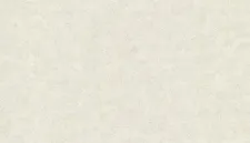 US 1303