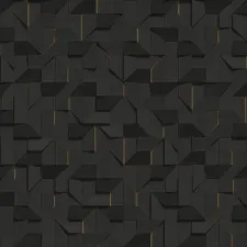Z81001