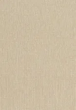 20037