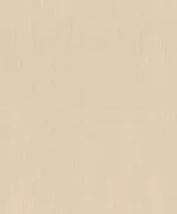 Обои Rasch Indian Style 746037