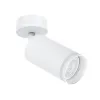 Спот Arte Lamp IMAI A2365PL-1WH | Дом Декора