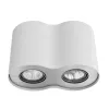 Точечный накладной светильник Arte Lamp FALCON A5633PL-2WH | Дом Декора