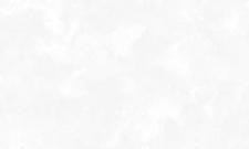 Обои WallSecret Jamaica Jam8769-10