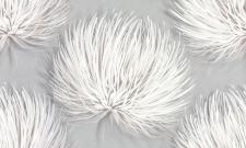 Обои Аспект Лола Лола75173-42