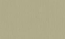 Обои Bernardo Bartalucci Ragazza 5040-4