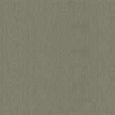 Palitra Dandelion Chiki  SP71992-74