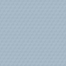 Обои Alessandro Allori Grace R54322-2