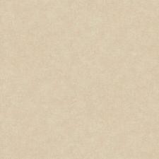 Обои A.S. Creation Universe Textile 29598-5