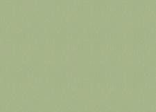 Обои Grandeco Jack 'n Rose 2024 JR 1212