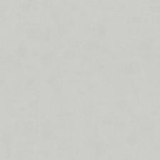 Обои Cassanie Simply SP107